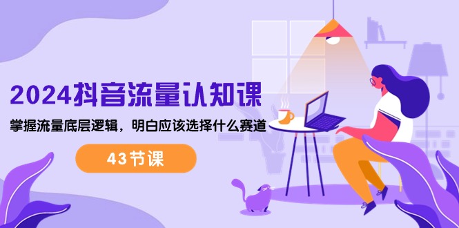 （10713期）2024抖音流量·认知课：掌握流量底层逻辑，明白应该选择什么赛道 (43节课)_111创业网-互联网轻创第一站