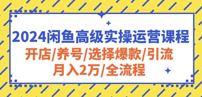 2024闲鱼高级实操运营课程：开店/养号/选择爆款/引流/月入2万/全流程_111创业网-互联网轻创第一站