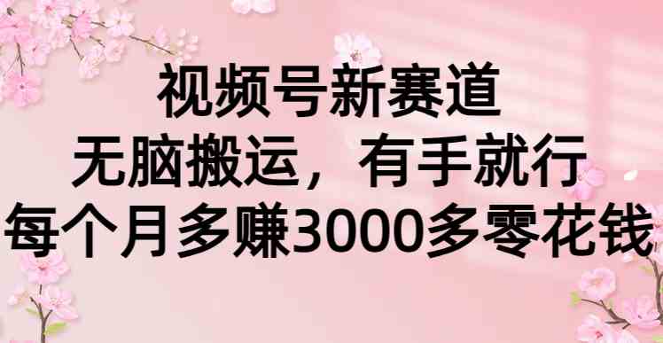 （9277期）视频号新赛道，无脑搬运，有手就行，每个月多赚3000多零花钱_111创业网-互联网轻创第一站