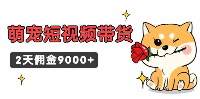 （9273期）东哲日记·萌宠短视频带货，2天佣金9000+_111创业网-互联网轻创第一站