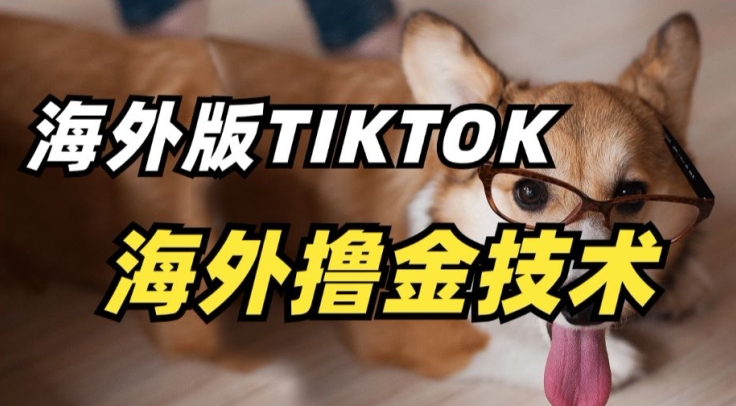抖音海外版tiktok撸金技术，这个风口行业，赚钱真的不难_111创业网-互联网轻创第一站