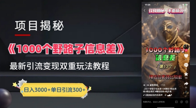 一千个野路子信息差最新玩法教程-变现+引流的玩法具体拆解_111创业网-互联网轻创第一站