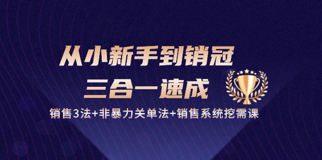 从小新手到销冠三合一速成：销售3法+非暴力关单法+销售系统挖需课 (27节)_111创业网-互联网轻创第一站