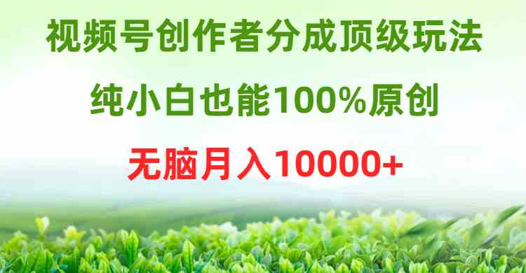 （9608期）视频号创作者分成顶级玩法，纯小白也能100%原创，无脑月入10000+_111创业网-互联网轻创第一站