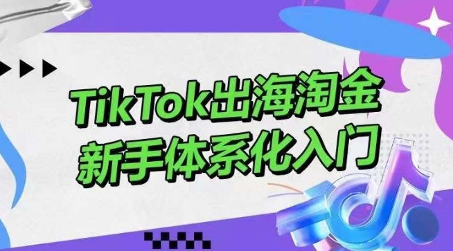TikTok出海淘金，新手体系化入门，零基础快速入门，掌握短视频、直播带货等引流到变现的知识_111创业网-互联网轻创第一站