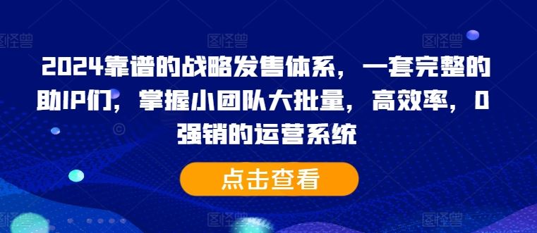 2024靠谱的战略发售体系，一套完整的助IP们，掌握小团队大批量，高效率，0 强销的运营系统_111创业网-互联网轻创第一站