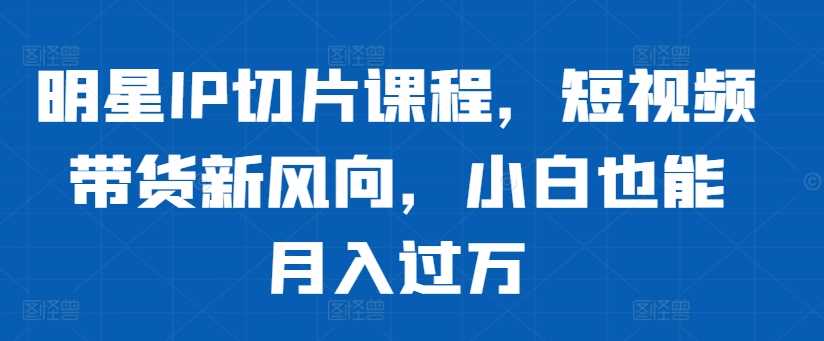 明星IP切片课程，短视频带货新风向，小白也能月入过万_111创业网-互联网轻创第一站