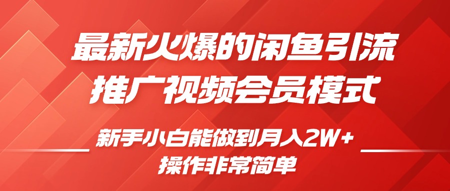 最新火爆的闲鱼引流推广视频会员，新手小白能做到月入2W+_111创业网-互联网轻创第一站