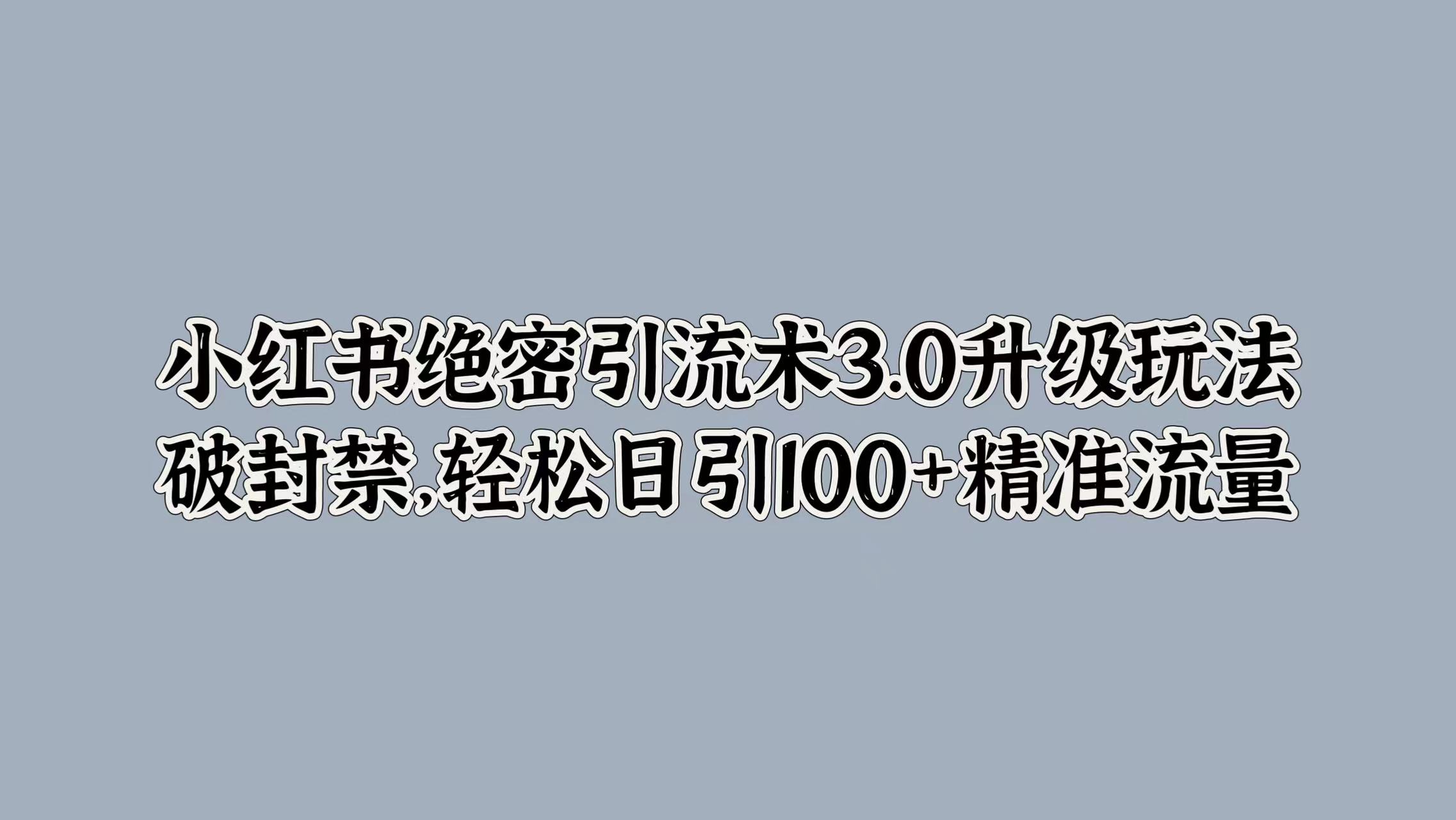 小红书绝密引流术3.0升级玩法，破封禁，轻松日引100+精准流量_111创业网-互联网轻创第一站