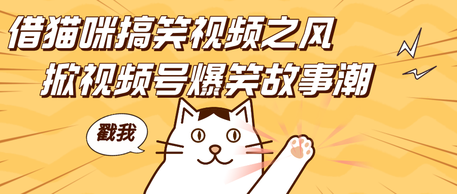 借猫咪搞笑视频之风，掀视频号爆笑故事潮，轻松日赚四位数，开启无门槛赚钱新体验！_111创业网-互联网轻创第一站