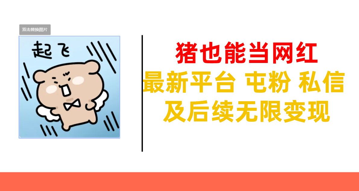 猪也能当网红-最新平台 屯粉 交流 私信 及后续无限变现_111创业网-互联网轻创第一站