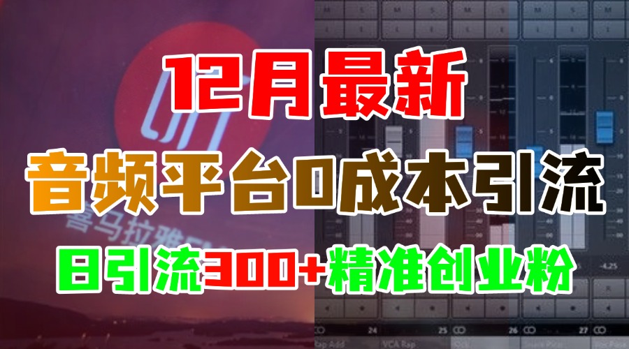 12月最新：音频平台0成本引流，日引300+精准创业粉_111创业网-互联网轻创第一站