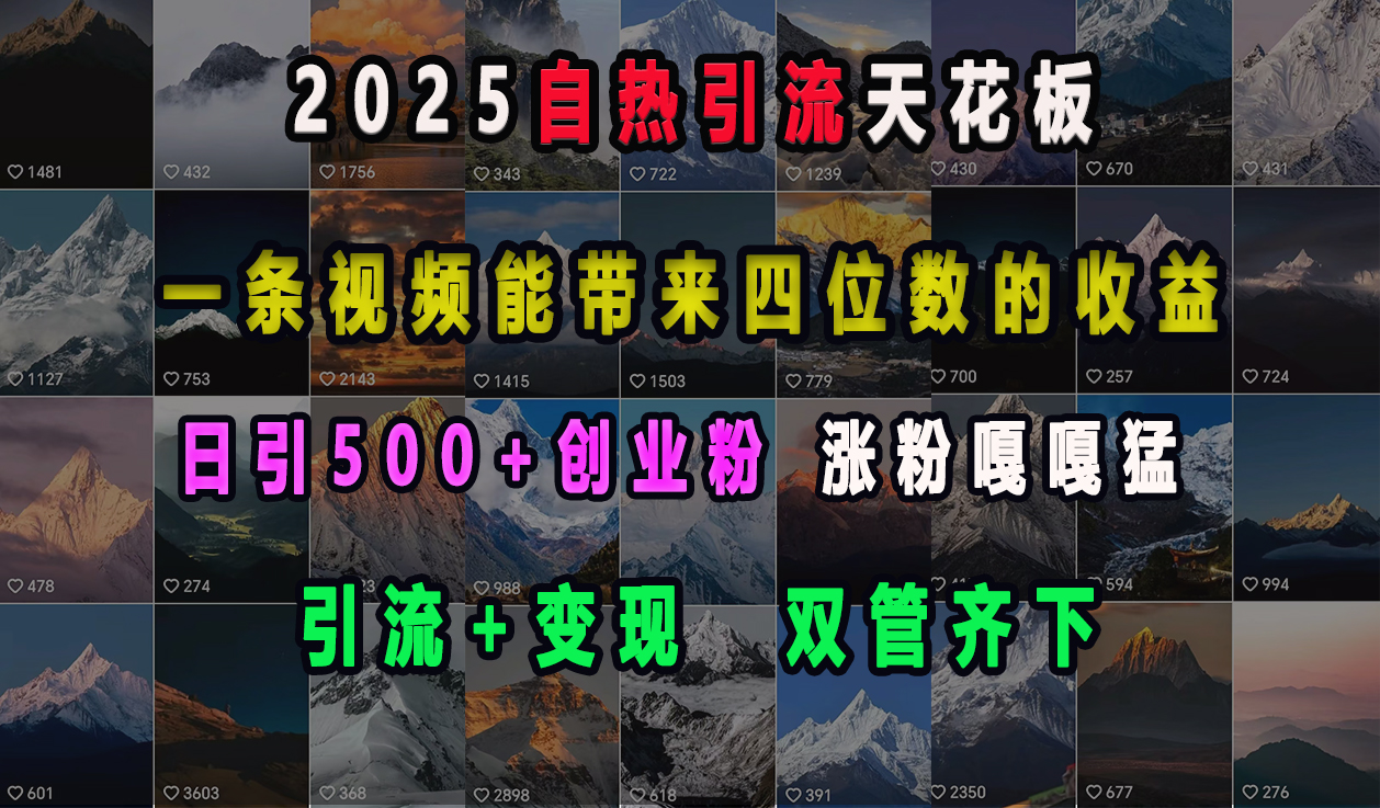 2025自热引流天花板，一条视频能带来四位数的收益，引流+变现双管齐下，日引500+创业粉，涨粉嘎嘎猛_111创业网-互联网轻创第一站