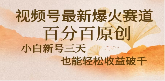 视频号独家玩法，老年养生赛道，无脑搬运爆款视频，日入2000+_111创业网-互联网轻创第一站