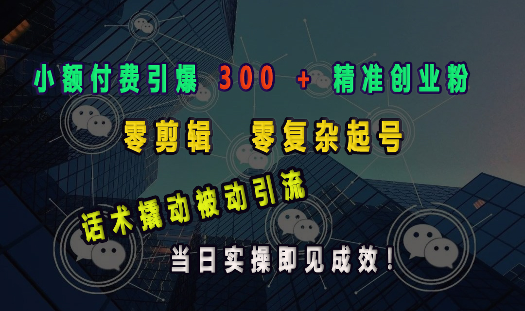 小额付费引爆 300 + 精准创业粉，零剪辑、零复杂起号，话术撬动被动引流，当日实操即见成效！_111创业网-互联网轻创第一站