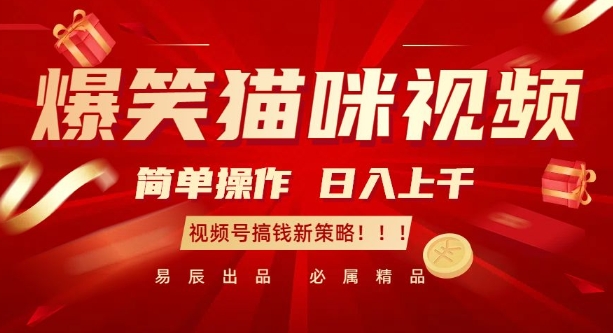 爆笑猫咪视频：简单操作，日入过K，视频号搞钱新策略【揭秘】_111创业网-互联网轻创第一站