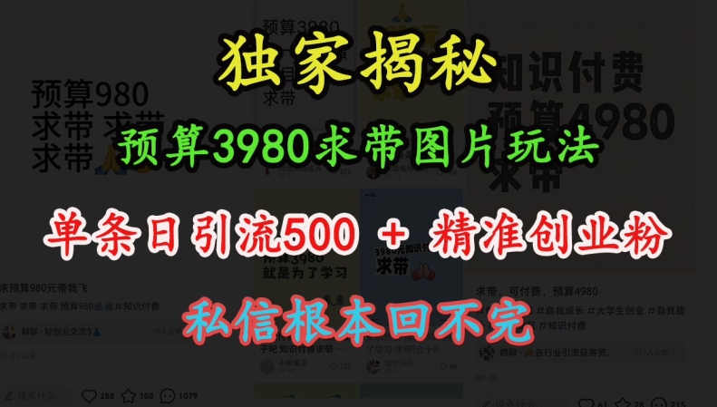 预算3980求带 图片玩法，单条日引流500+精准创业粉，私信根本回不完_111创业网-互联网轻创第一站