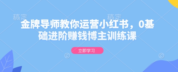 金牌导师教你运营小红书，0基础进阶赚钱博主训练课_111创业网-互联网轻创第一站