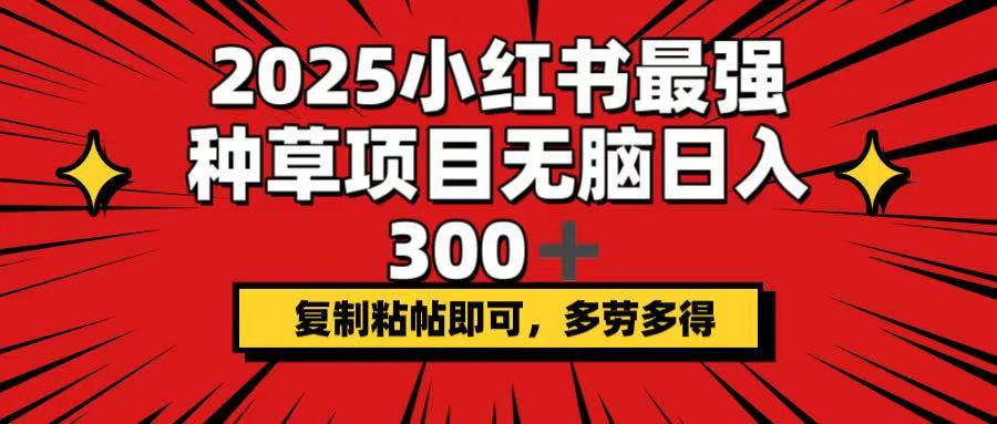 2025小红书最强种草项目，无脑日入300+，复制粘帖即可，多劳多得_111创业网-互联网轻创第一站