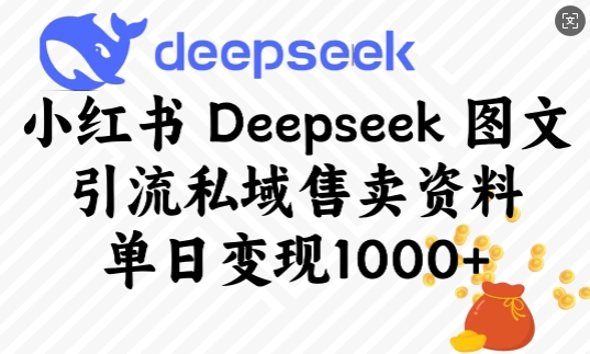 小红书Deepseek图文引流私域售卖资料，单日变现多张_111创业网-互联网轻创第一站